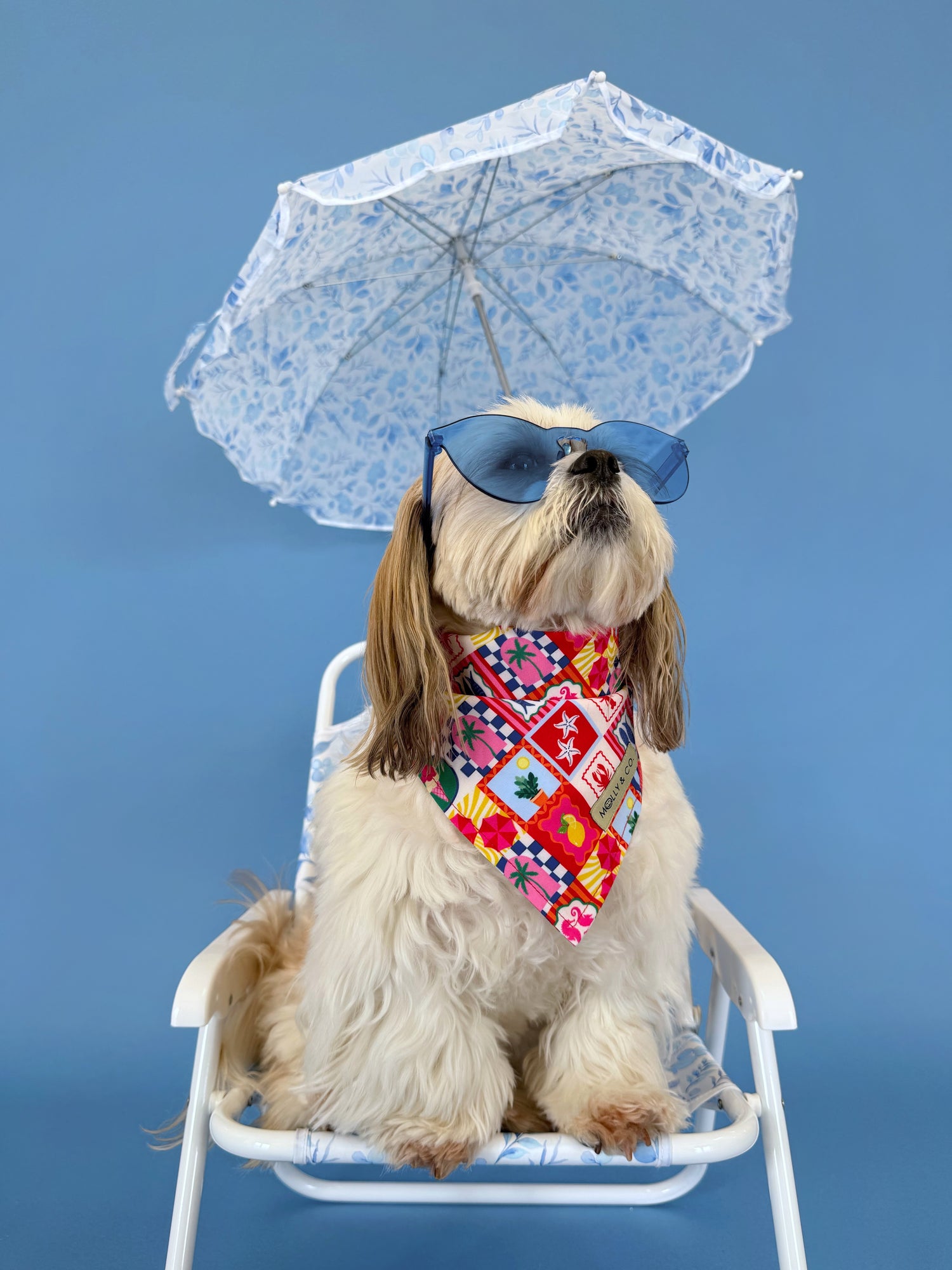 Amalfi - Dog Bandana