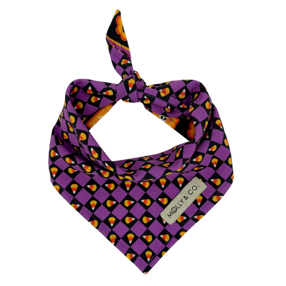 Stay Wicked - Reversible Dog Bandana
