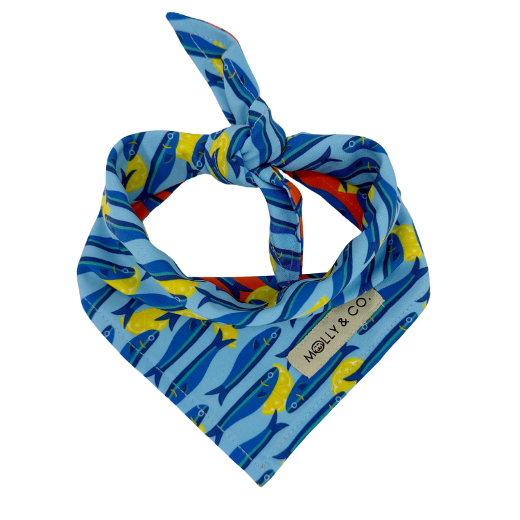 Mar Salato - Reversible Dog Bandana