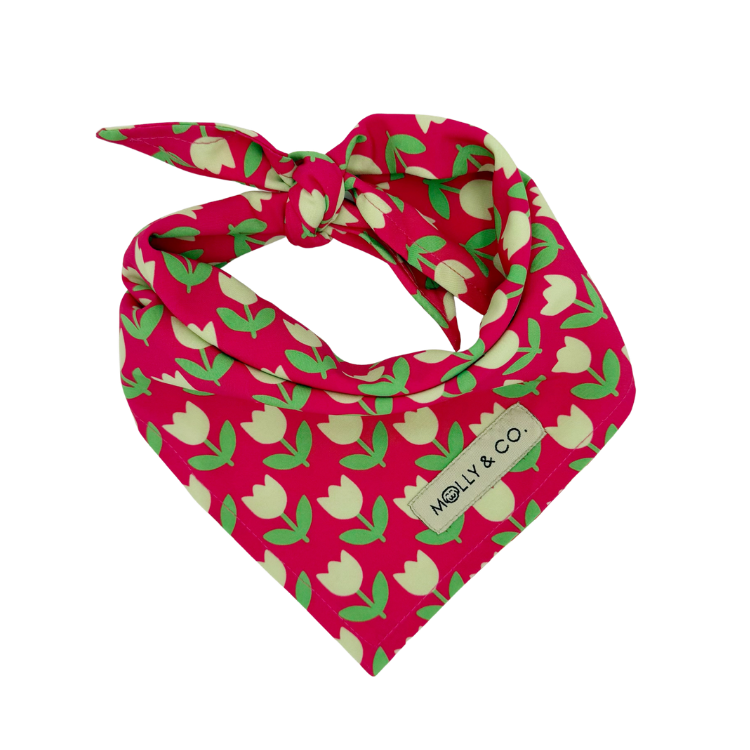 Tulip - Dog Bandana