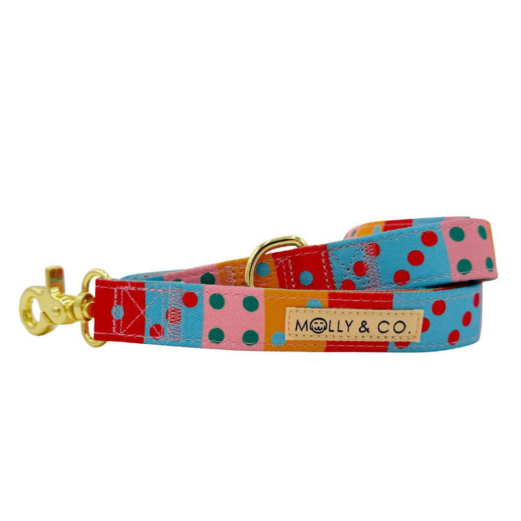 Doble Seis - Dog Leash