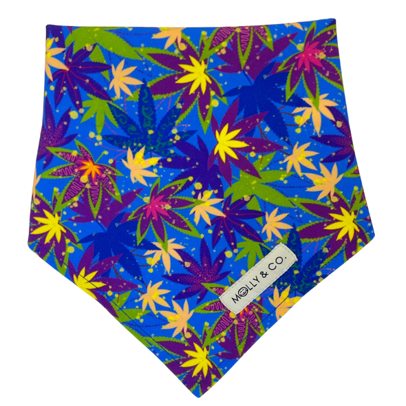 CannaPaws - Reversible Dog Bandana