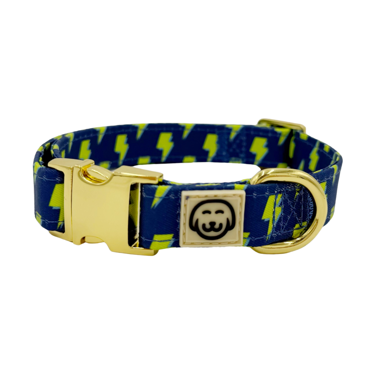 Bolt - Adjustable Dog Collar