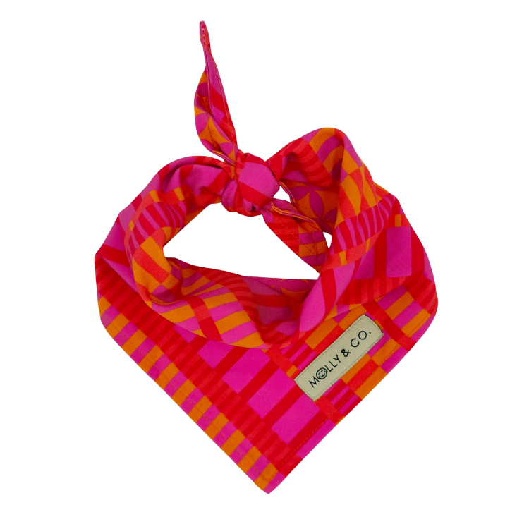 Pink Punch - Reversible Dog Bandana