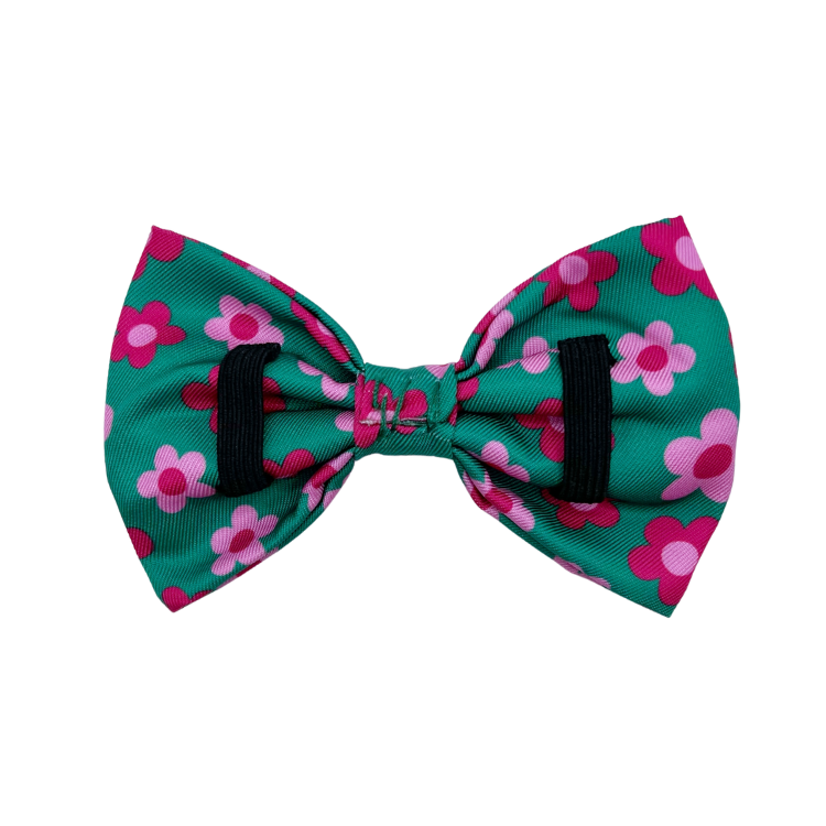 Petunia - Dog Bowtie