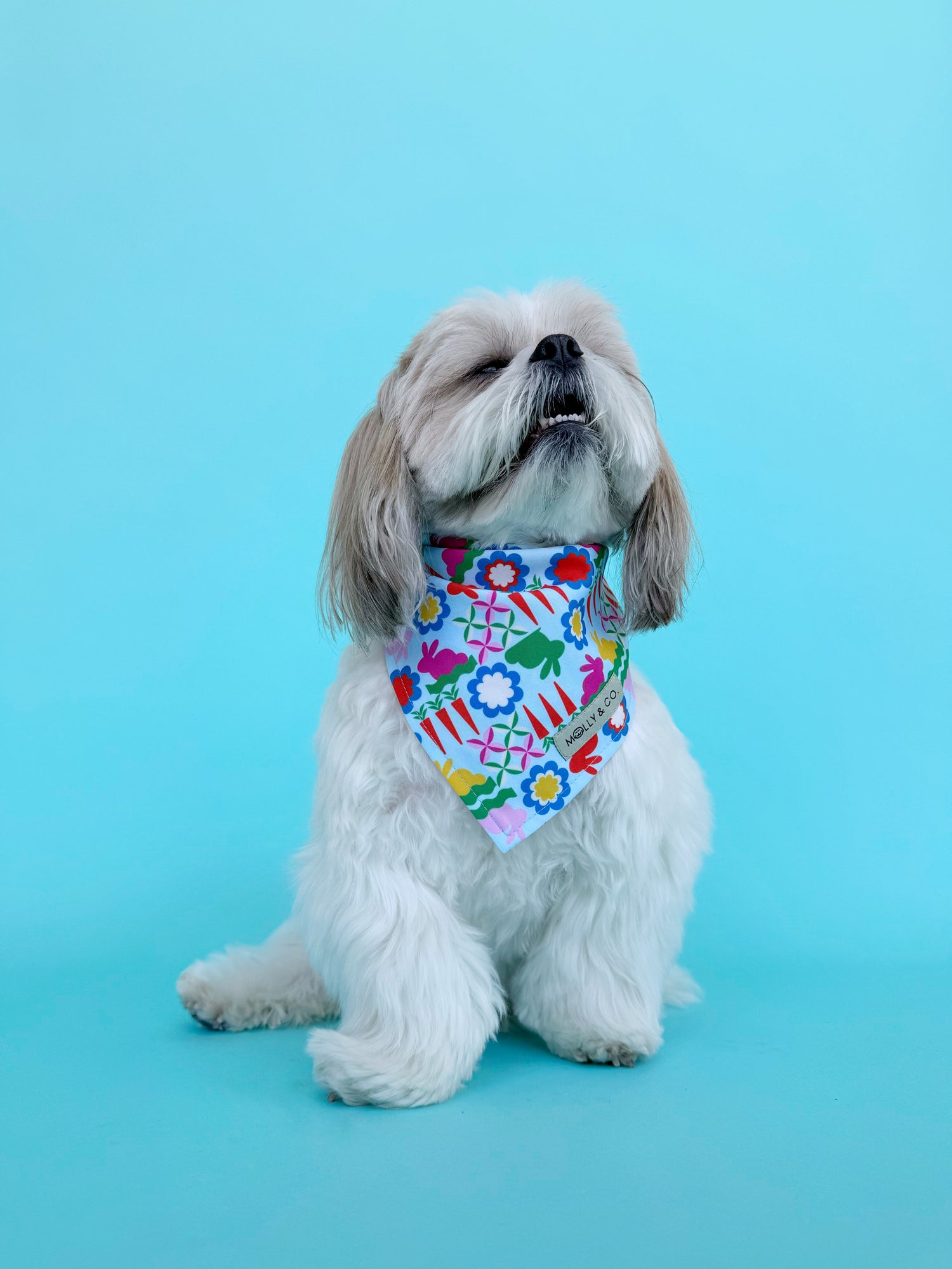 Bunny Bliss - Reversible Dog Bandana