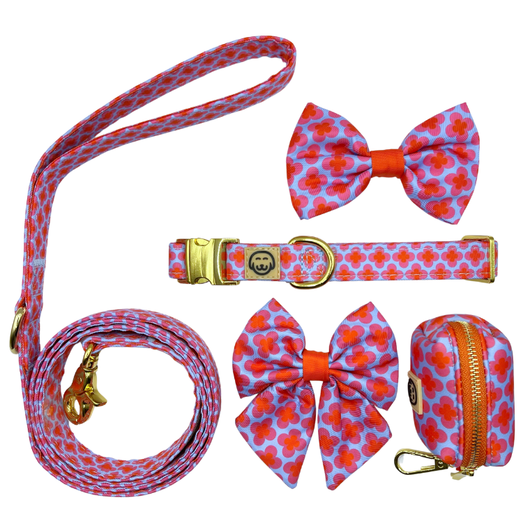 Deluxe Bundle - Venezia