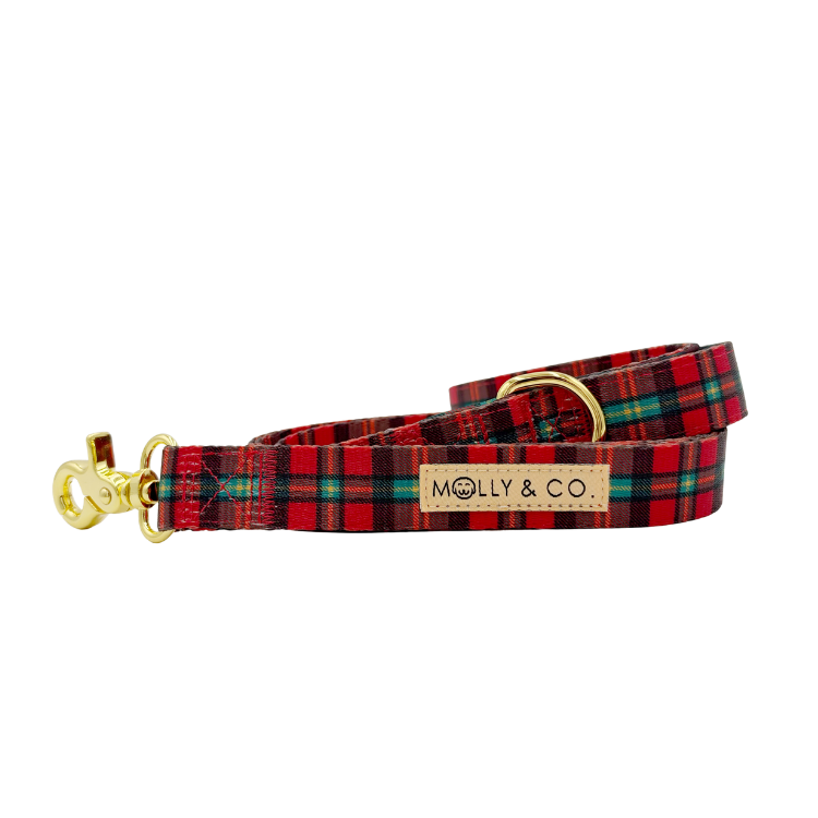 Merrywood - Dog Leash