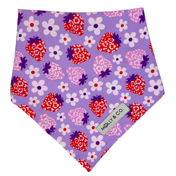 Strawberry - Reversible Dog Bandana