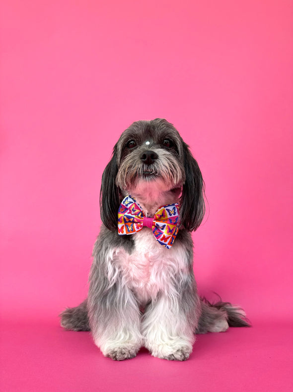 Mariposa - Dog Bowtie