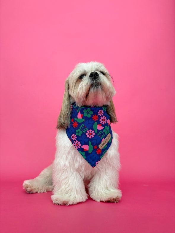 Lilybird - Reversible Dog Bandana