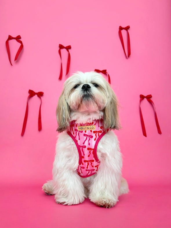 Coquette - Adjustable Dog Harness