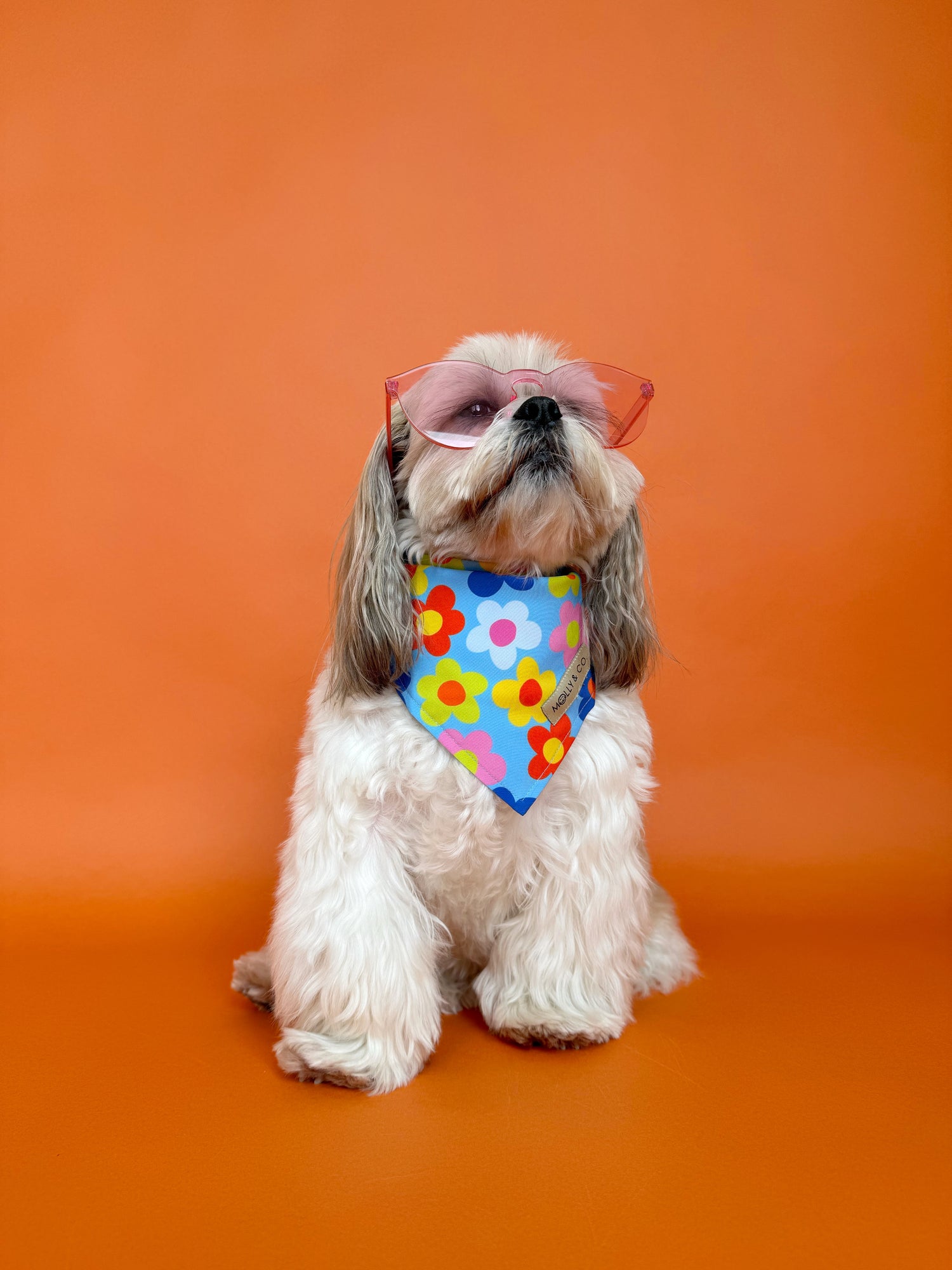 Bloomscape - Dog Bandana