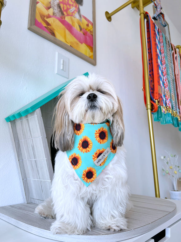 Sunflowers - Reversible Dog Bandana