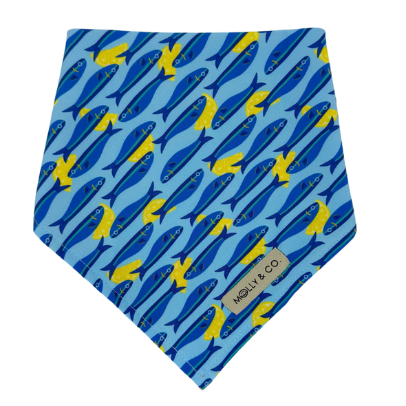 Mar Salato - Reversible Dog Bandana