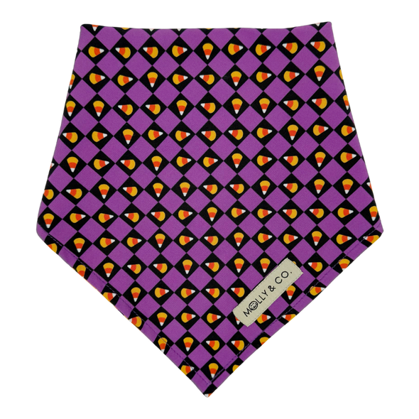 Stay Wicked - Reversible Dog Bandana