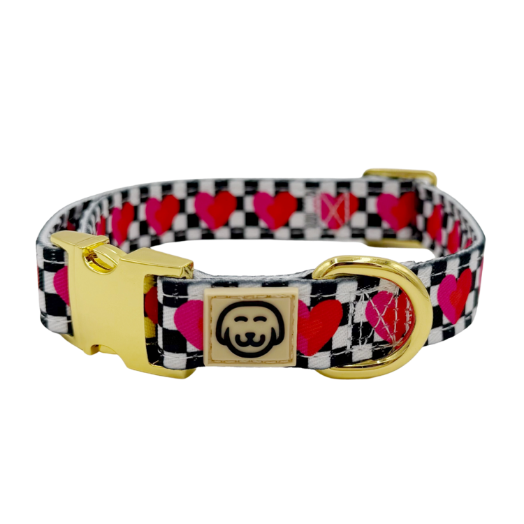 Lovebug - Dog Collar