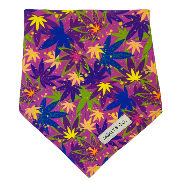 CannaPaws - Reversible Dog Bandana