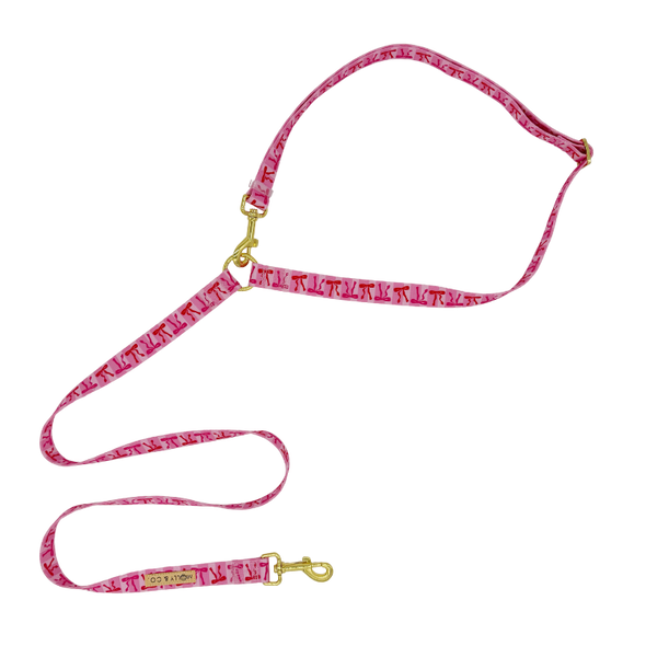 Coquette - Handsfree Dog Leash