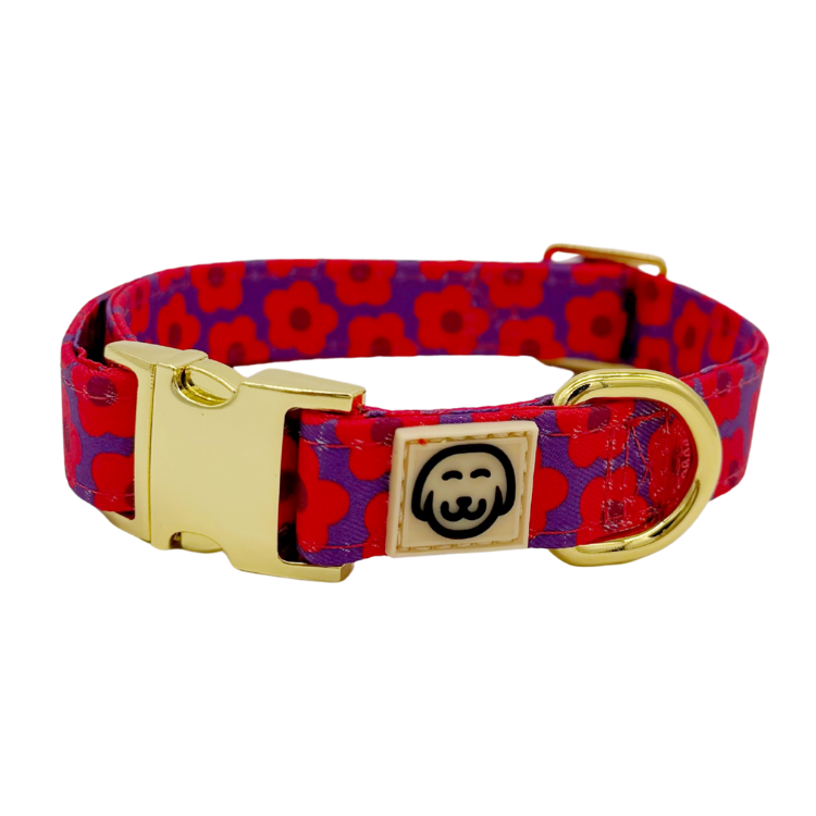 Mon Chéri - Dog Collar