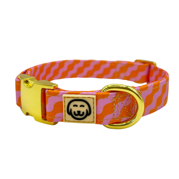 Mango - Dog Collar