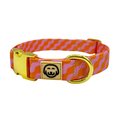 Mango - Dog Collar