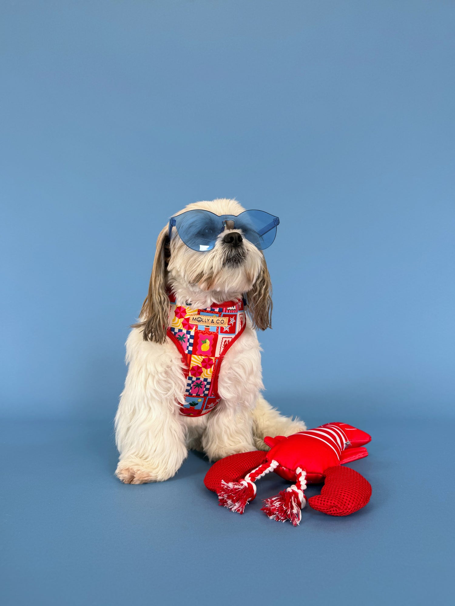 Amalfi - Adjustable Dog Harness