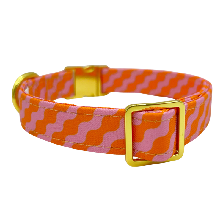 Mango - Dog Collar