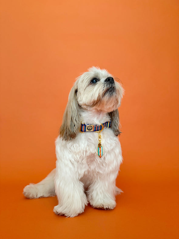 Wiener - Collar Charm