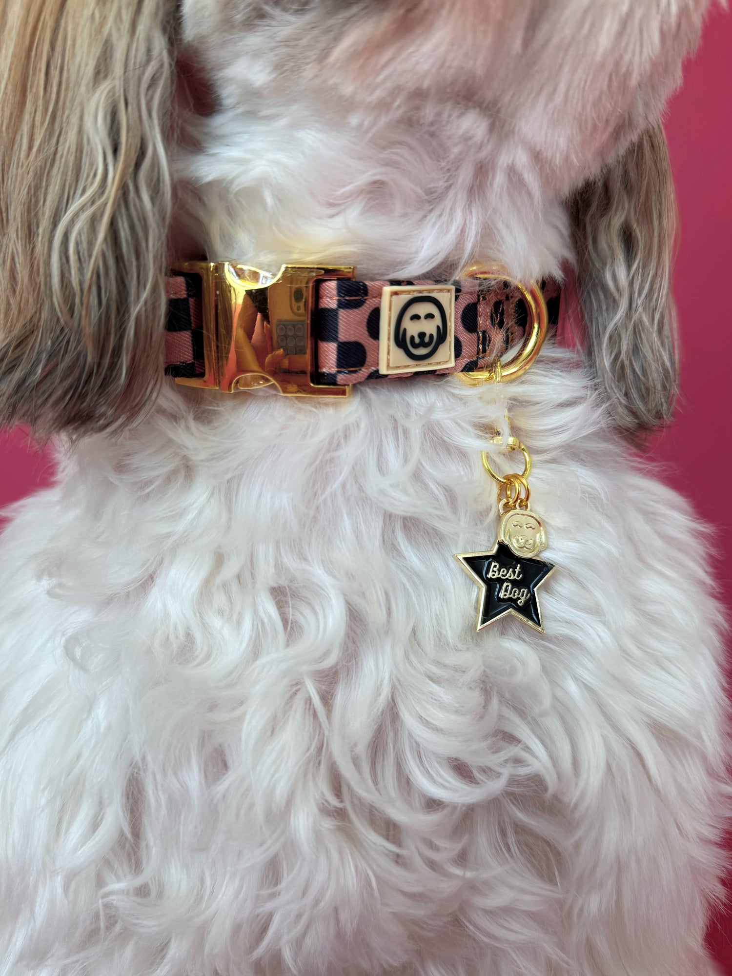 Best Dog - Collar Charm