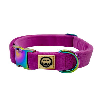 Plum Velvet- Dog Collar