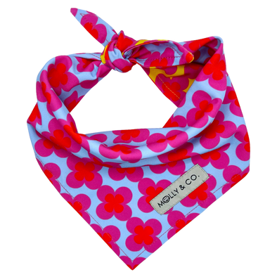 Venezia - Reversible Dog Bandana