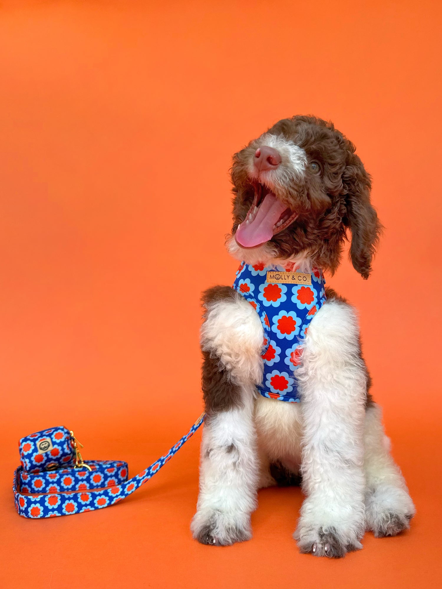 Sorrento - Dog Poop Bag Holder