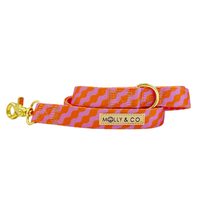 Mango - Dog Leash