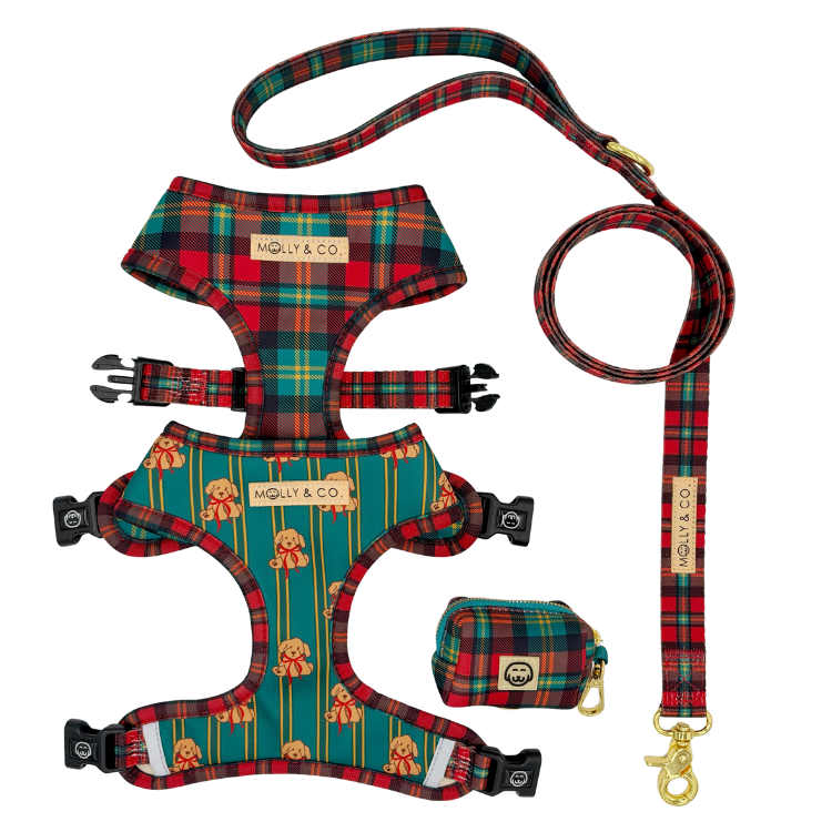 Merrywood - Walking Bundle
