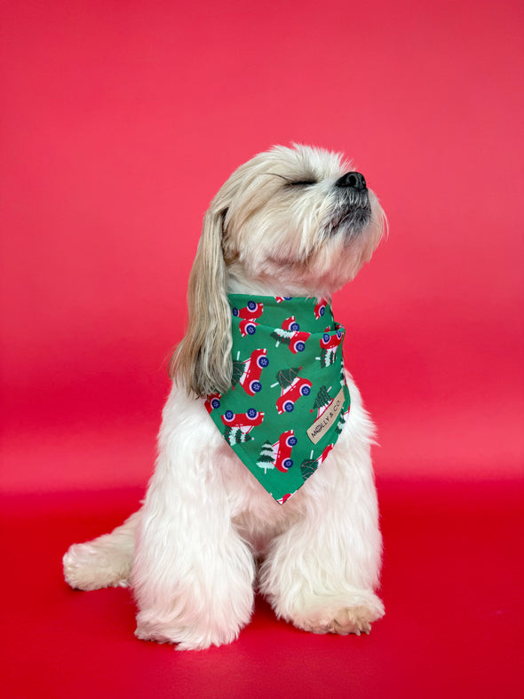 Merry Mischief - Reversible Dog Bandana