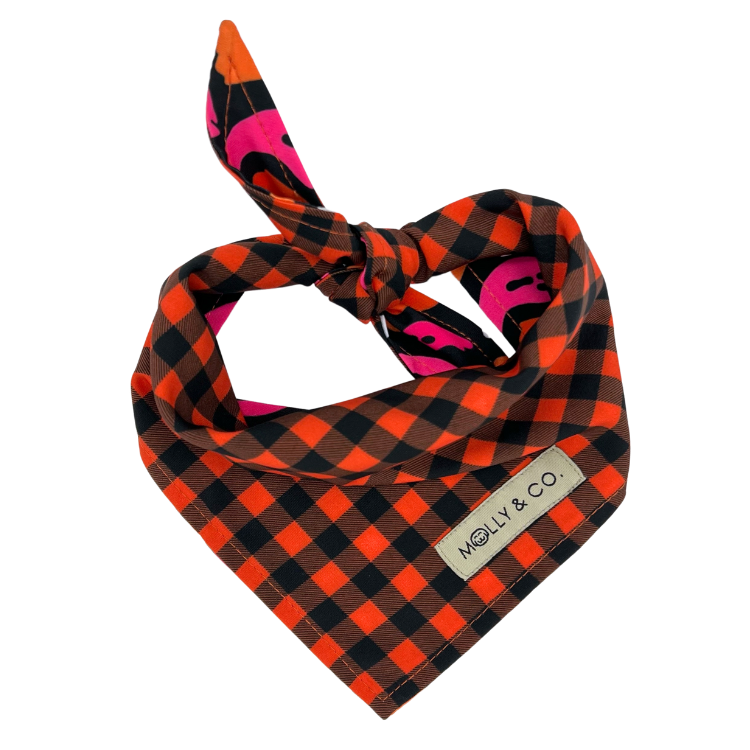 Boo! - Reversible Dog Bandana