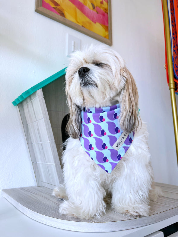 Sandy - Dog Bandana