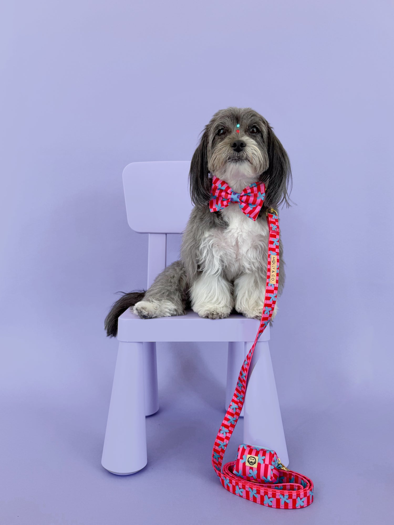Supernova - Dog Poop Bag Holder