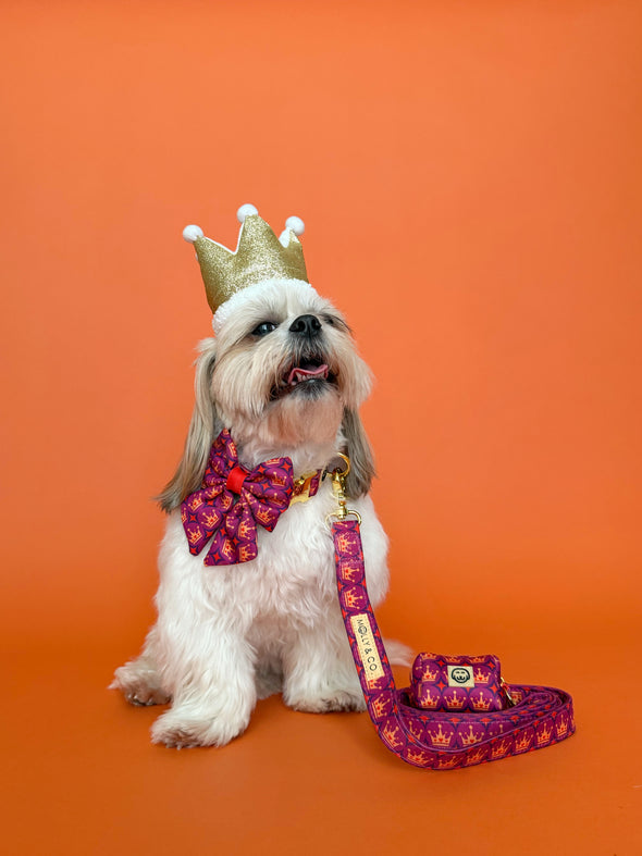 Royal Queen - Dog Leash