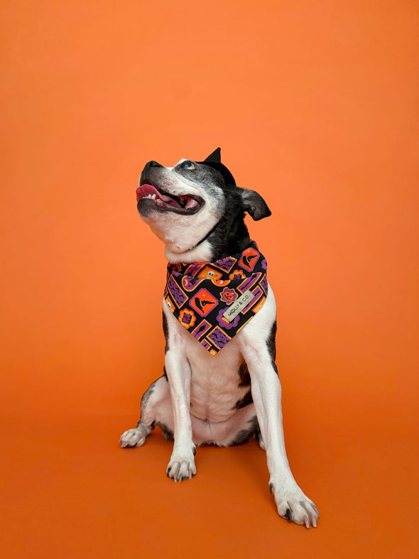 Stay Wicked - Reversible Dog Bandana