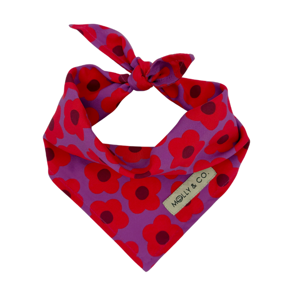 Mon Chéri - Reversible Dog Bandana