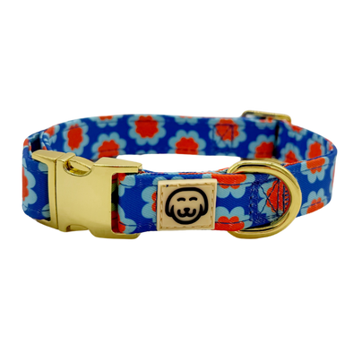 Sorrento - Dog Collar