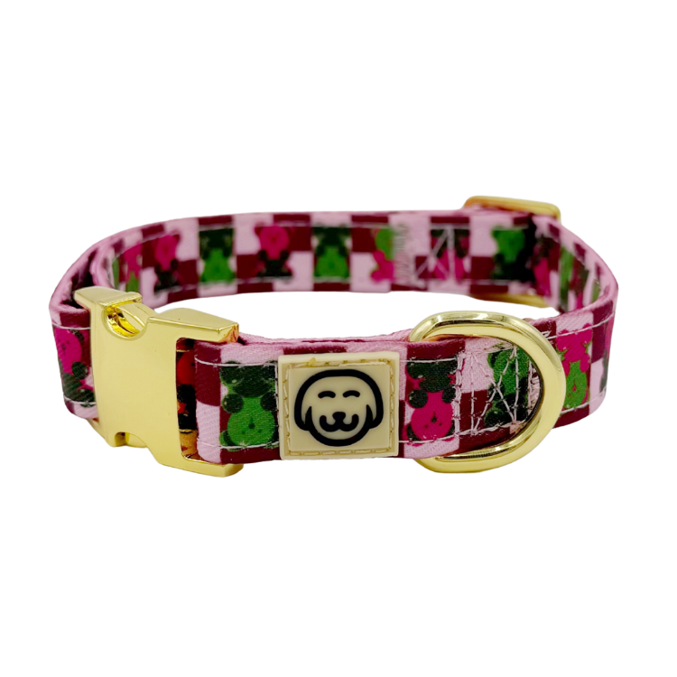 Gummy Bears - Adjustable Dog Collar