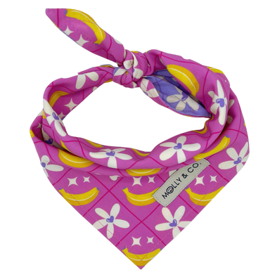 Barkie World - Reversible Dog Bandana