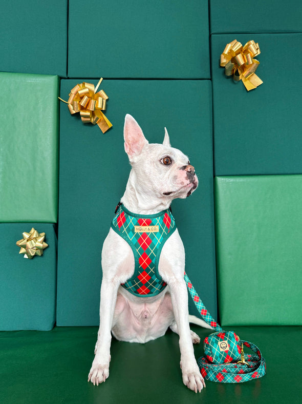 Evergreen Argyle - Walking Bundle