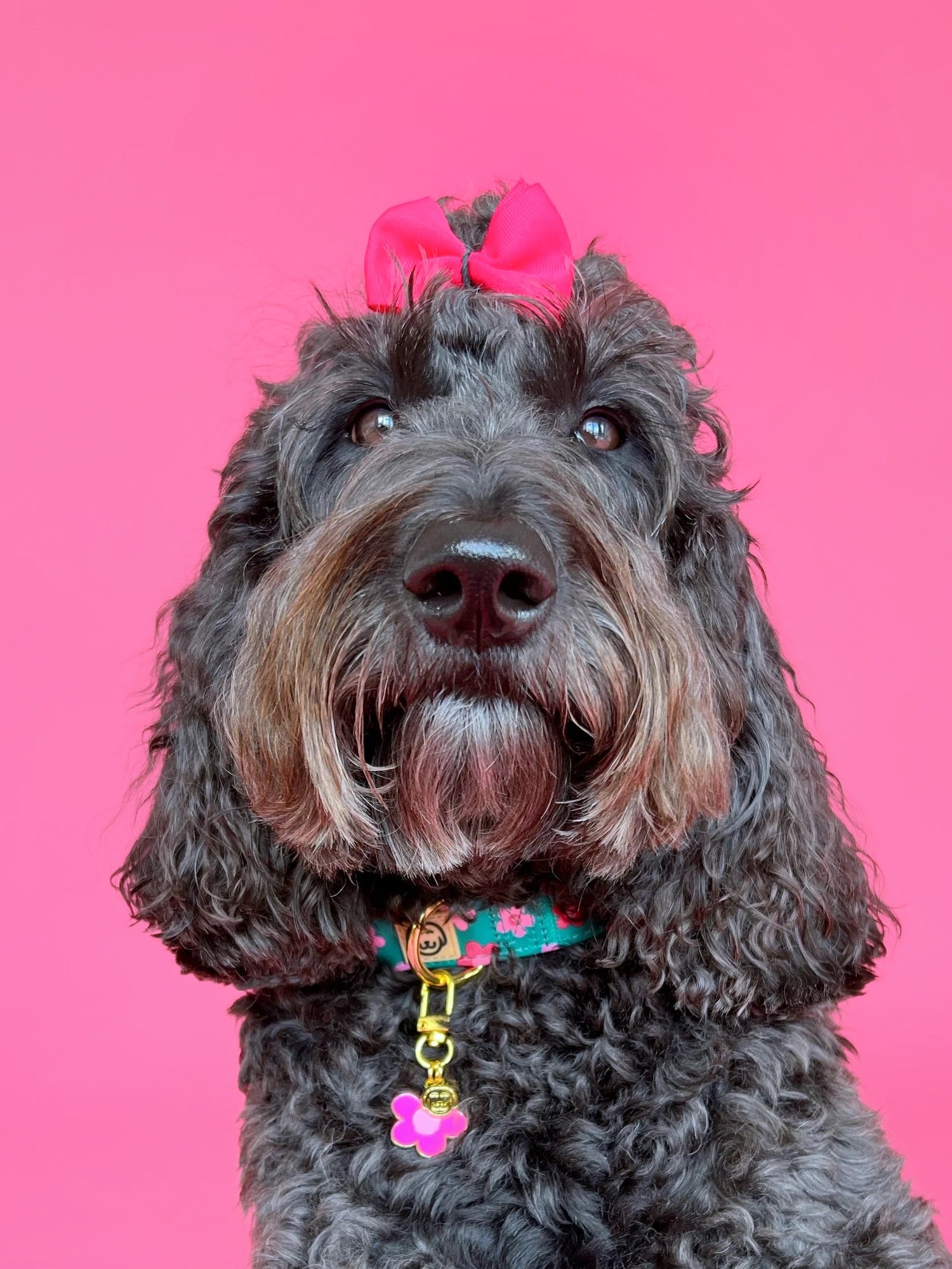 Petunia - Collar Charm