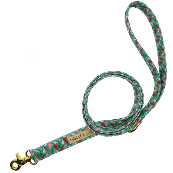 Amore - Dog Leash