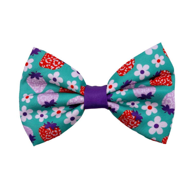 Strawberry - Dog Bowtie