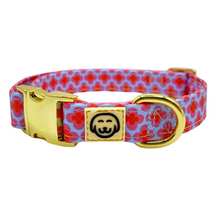 Deluxe Bundle - Venezia